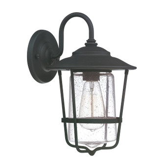 Creekside One Light Outdoor Wall Lantern in Black (65|9601BK)