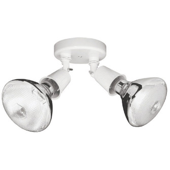 Outdoor Two Light Outdoor Flood Light in White (65|9502WH)