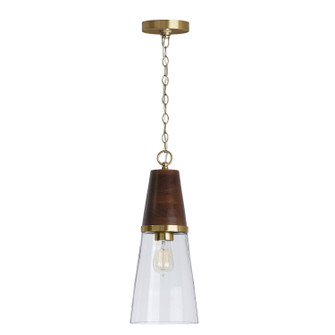 Dodd One Light Pendant in Dark Wood and True Brass (65|333911WR-477)