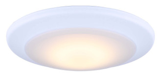 Led Edgeless LED Disk Light in White (387|LED-SM6DL-WT-C)