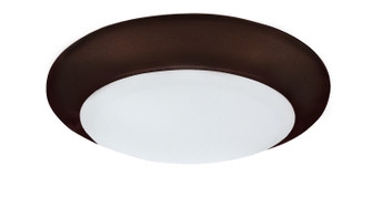 Led Edgeless LED Disk Light in Oil Rubbed Bronze (387|LED-SM6DL-ORB-C)