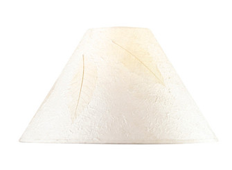 COOLIE Shade in Off White (225|SH-1025)