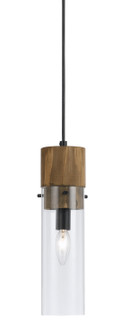 SPEHROID One Light Pendant in Dark Bronze/Wood (225|FX-3583-1P)