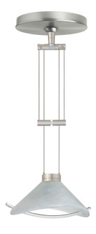 Hoppi One Light Pendant in Satin Nickel (74|1XA-181304-SN)