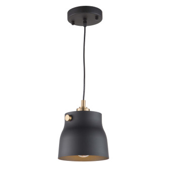 Euro Industrial One Light Pendant in Matte Black & Harvest Brass (78|AC11361VB)