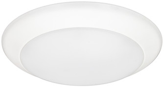 Quick Disc Quick Disc in White (303|QD6-30-WH)