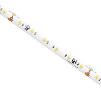 High Output Cob Tape Light in White (303|HTL65-WW)