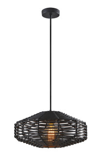 Kingston Pendant in Black Painted (262|5240-01)