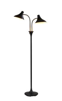 Ascot Two Light Floor Lamp in Black & Antique Brass (262|3372-01)