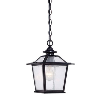 Salem One Light Hanging Lantern in Matte Black (106|9706BK)