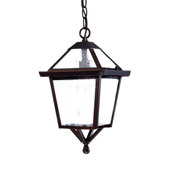 Bay Street One Light Hanging Lantern in Architectural Bronze (106|7616ABZ)