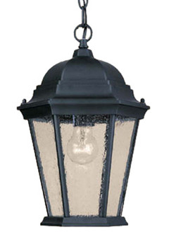 Richmond One Light Hanging Lantern in Matte Black (106|5206BK/SD)
