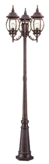 Chateau Three Head Surface Mount Post Light in Burled Walnut (106|5179BW)