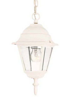 Builders` Choice One Light Hanging Lantern in Textured White (106|4006TW)
