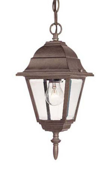 Builders` Choice One Light Hanging Lantern in Burled Walnut (106|4006BW)