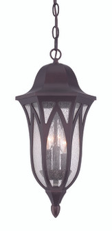 Milano Three Light Hanging Lantern in Architectural Bronze (106|39816ABZ)