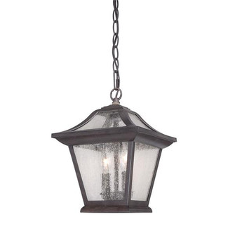 Aiken Two Light Hanging Lantern in Black Coral (106|39016BC)