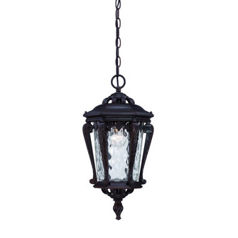 Stratford One Light Hanging Lantern in Architectural Bronze (106|3556ABZ)