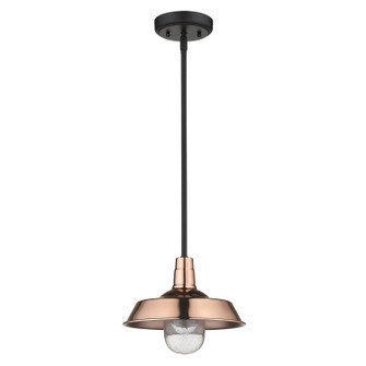 Burry One Light Pendant in Copper (106|1736CO)