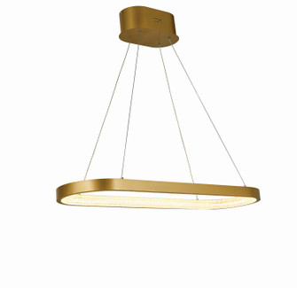Ellipse LED Chandelier in Brushed Gold (343|T1018-BG)