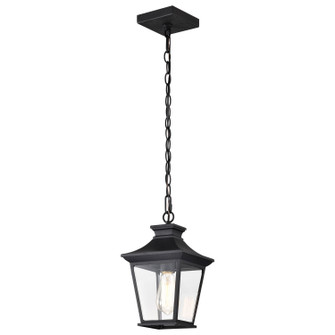 Jasper One Light Outdoor Hanging Lantern in Matte Black (72|60-5746)