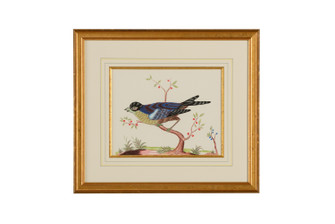 Bill Cain Blue Bird in White/Cream (460|386860)