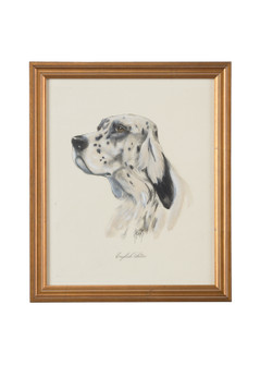 Chelsea House (General) English Setter in Gold Frame (460|386647)