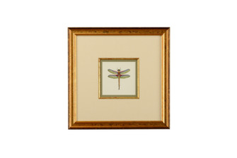 Chelsea House Misc Miniature Dragonfly Iv in Tan (460|386611)