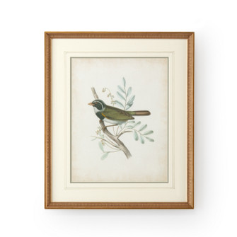Chelsea House Misc Delicate Birdsvi in White/Cream (460|386347)