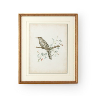 Chelsea House Misc Delicate Birds Iv in White/Cream (460|386345)