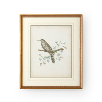 Chelsea House (General) Delicate Birds Iv in Gold Frame-Double Mat W/French Lines (460|386345)