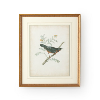 Chelsea House (General) Delicate Birds Iii in Gold Frame-Double Mat W/French Lines (460|386344)