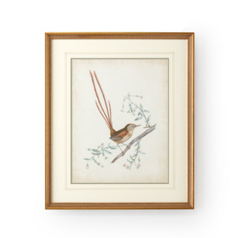 Chelsea House Misc Delicate Birds I in White/Cream (460|386342)