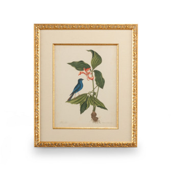 Chelsea House (General) Catesby Bird & Botanical Iv in Gold Leaf Frame - Linen Mat Fillet (460|386178)
