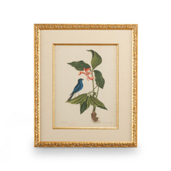 Chelsea House Misc Catesby Bird & Botanical Iv in Gold Leaf Frame - Linen Mat Fillet (460|386178)