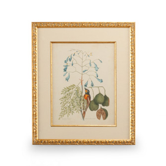 Chelsea House Misc Catesby Bird & Botanical Ii in Gold Leaf Frame - Linen Mat/Fillet (460|386176)