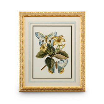 Chelsea House Misc Butterfly Oasis Iv in White/Cream (460|386098)