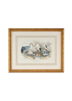 Chelsea House Misc Herons,Egrets & Cranes in White/Cream (460|386061)