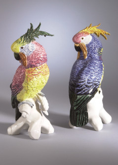 Chelsea House (General) Cockatoos in Multicolor (460|380754)