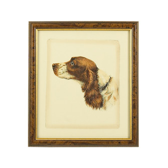 Chelsea House Misc Danchin Cocker Spaniel in Brown (460|380360)