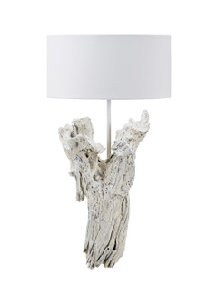 Wildwood (General) One Light Wall Sconce in Whitewash (460|23373)