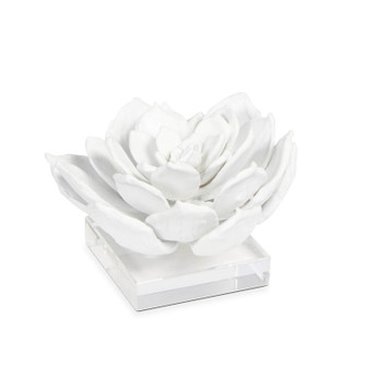 Succulent Sculpture in White (400|20-1483)