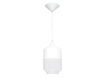 Robertson Blvd. One Light Pendant in White (192|HF9114-WHT)