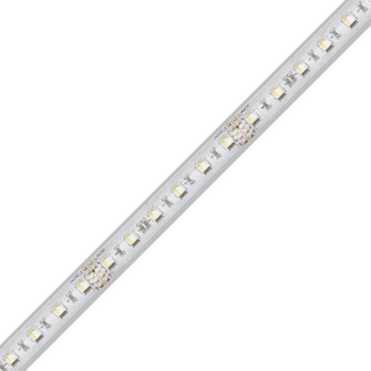 LED Strip Light (399|DI-24V-RGBW4-W016)