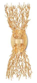 Sea Fan Collection Two Light Wall Sconce in Gold Gilt (142|5000-0200)