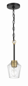 Avante Grand One Light Mini Pendant in Flat Black/Satin Brass (46|56991-FBSB)