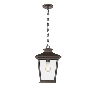 Bellmon One Light Outdoor Hanging Lantern in Powder Coated Bronze (59|4722-PBZ)
