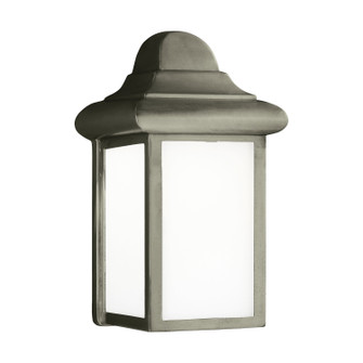 Mullberry Hill One Light Outdoor Wall Lantern in Pewter (1|8988EN3-155)