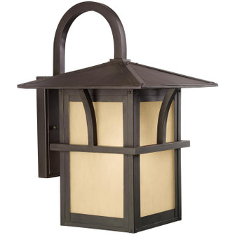 Medford Lakes One Light Outdoor Wall Lantern in Statuary Bronze (1|88882-51)