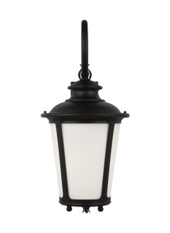 Cape May One Light Outdoor Wall Lantern in Black (1|88243EN3-12)